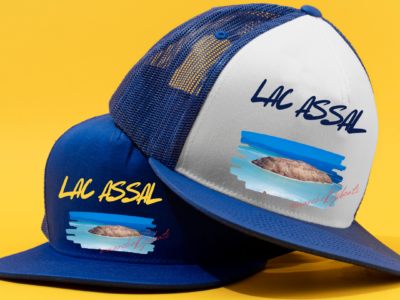 A vendre chapeau professionnel jaune et bleu plus Maquette.